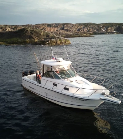 Скоростной катер Bayliner Trophy